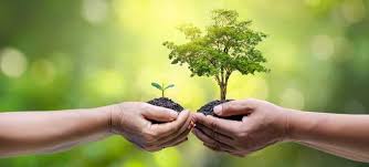 MAA’s – Tree Plantation Program